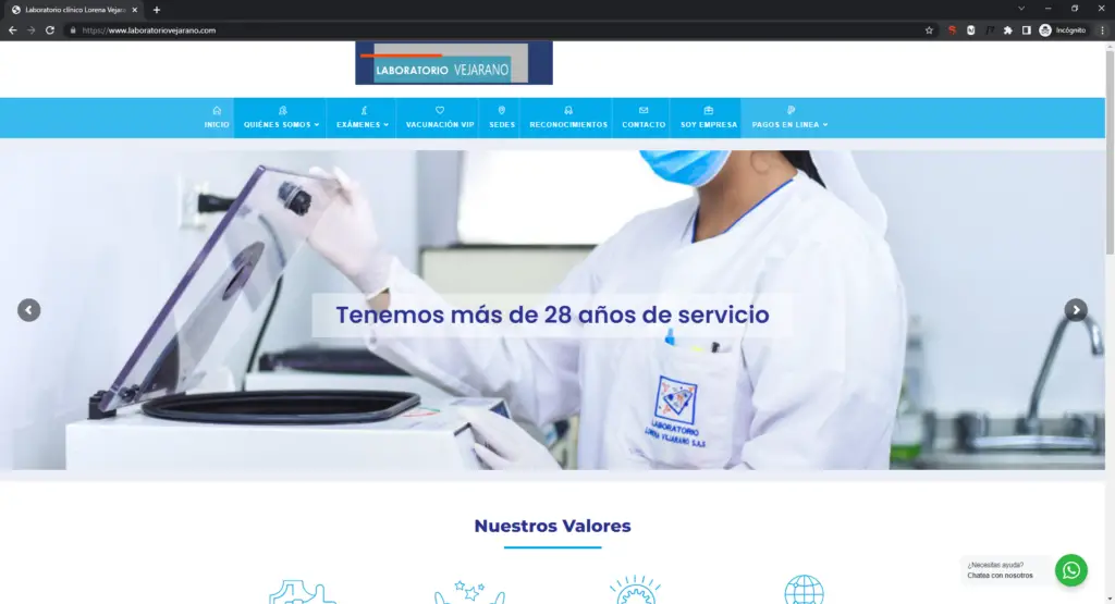 Página Web para consultar los resultados de laboratorio Lorena Vejarano.